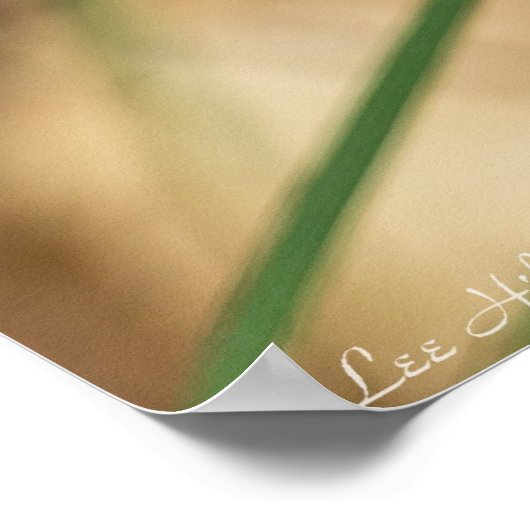 スミレの花のスパイダーウォルトのポスター ポスター (角)