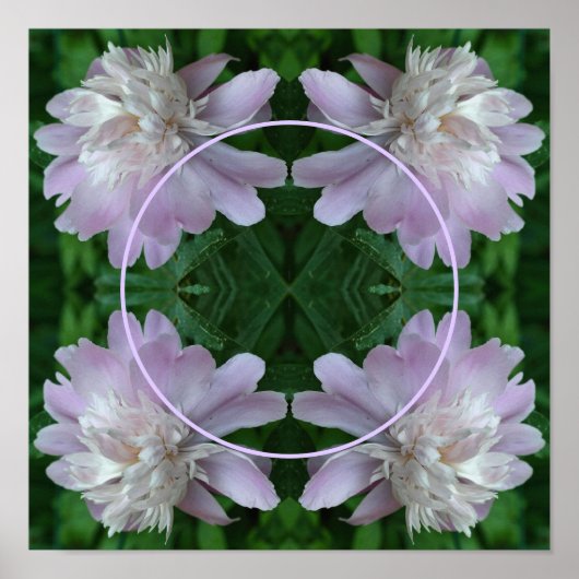 スミレの花の自然フレーム - あなただけの写真を作ろう ポスター (正面)