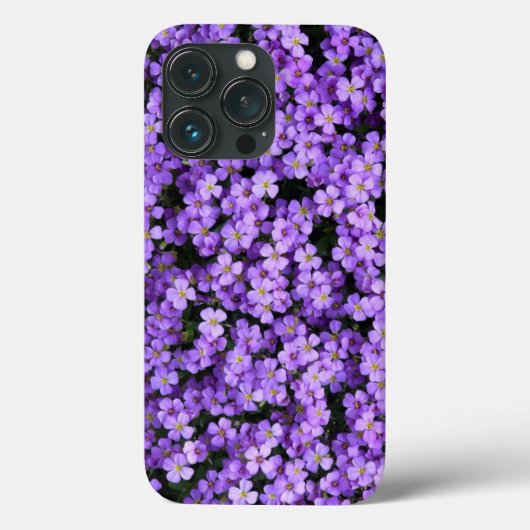 スミレの花 iPhone カバー スミレ 春 (裏面)