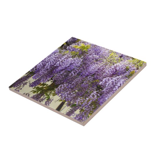スミレの藤の花 タイル (側面)