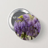 スミレの藤の花 缶バッジ (正面&裏面)