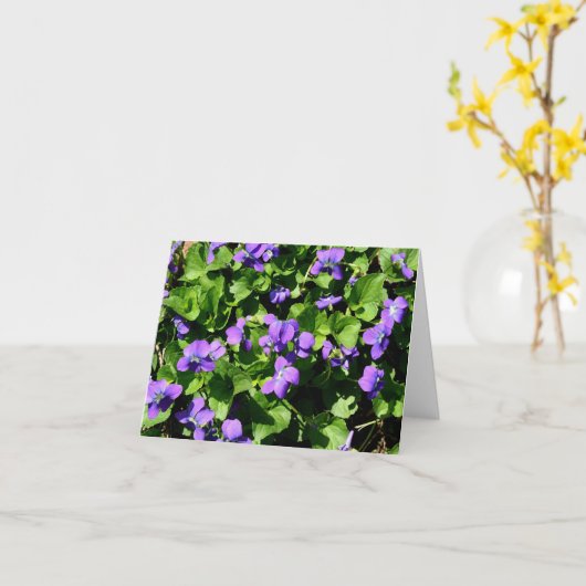 スミレ札の意味 カード (黄色い花)