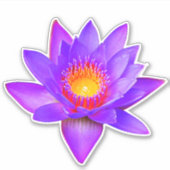 スミレ色の蓮の花ステッカー シール (正面)