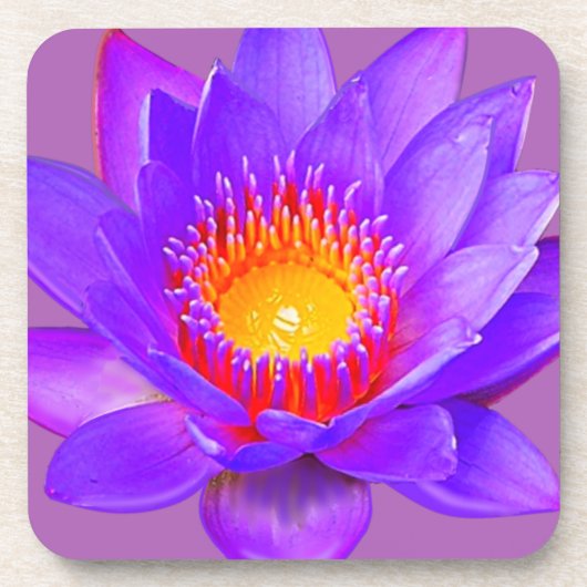 スミレ色の蓮の花 コースター (正面)