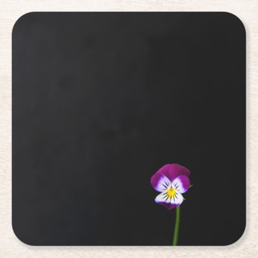 スミレ花同胞体 スクエアペーパーコースター (正面)