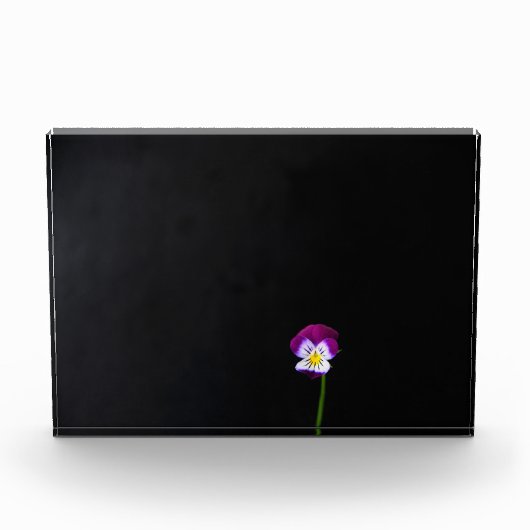スミレ花bcna フォトブロック (正面)