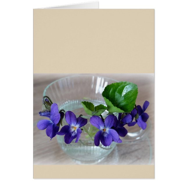 スミレ1杯 (正面)