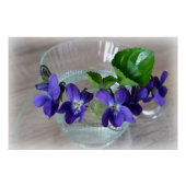 スミレ1杯 ポスター (正面)