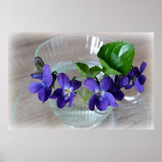 スミレ1杯 ポスター (正面)