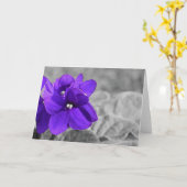 スミレ カード (黄色い花)