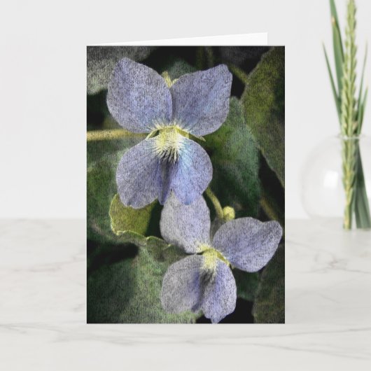 スミレ カード (正面)