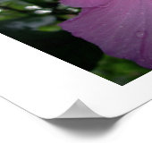 スミレ ポスター (角)