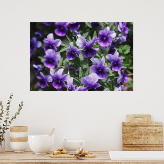 スミレ ポスター (キッチン)