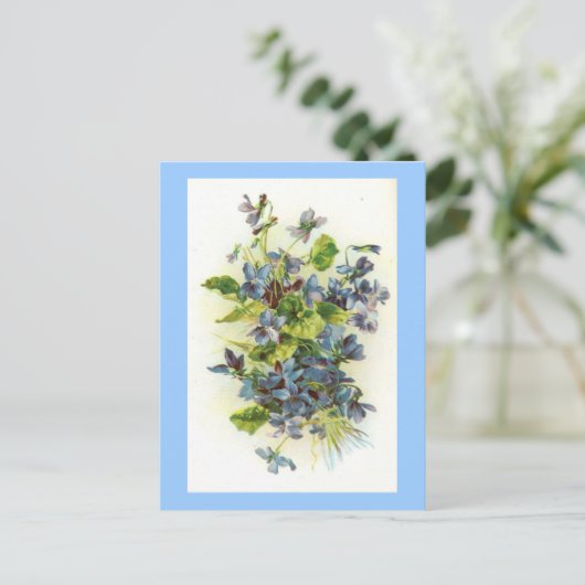 スミレ ポストカード (スタンド正面)