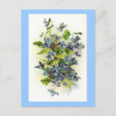 スミレ ポストカード (正面)