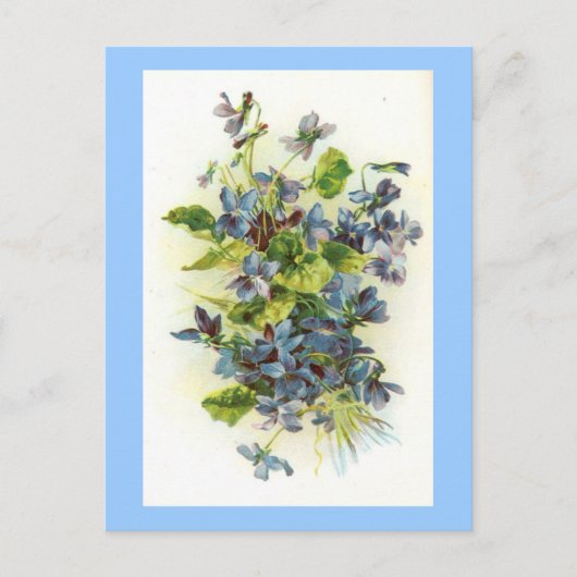 スミレ ポストカード (正面)