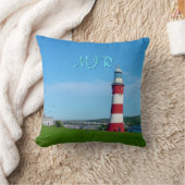 スミートンズタワー、ザホー、プリマス クッション (ブランケット)