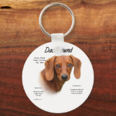 スムースDachshundがBreedキーチェーンに出会う キーホルダー (正面)