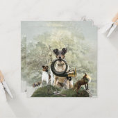 スムーズキツネテリア カード (正面/裏面インサイチュ)