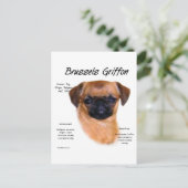 スムーズブリュッセルグリフォンの履歴 ポストカード (スタンド正面)