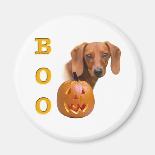 スムーズDachshund Boo – マグネット (正面)