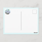 スメラルド花はがき ポストカード (裏面)