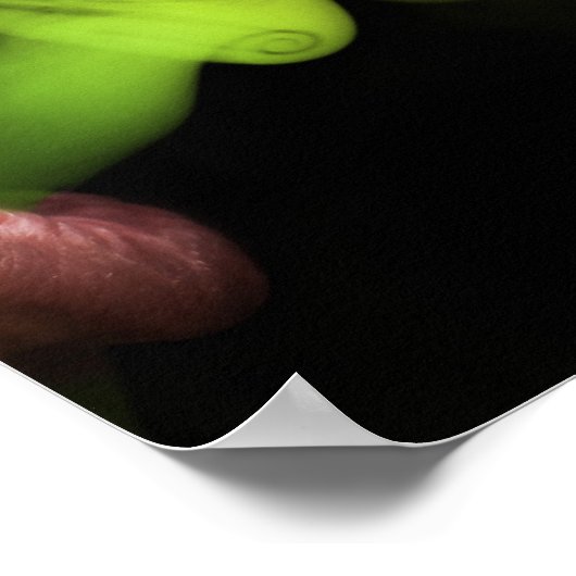 スモキン ポスター (角)