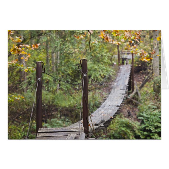 スモーぶら下がったルズブリッジナショナルコール伝統 (正面横)