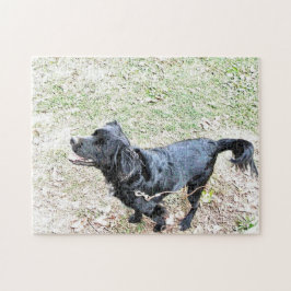 スモーキーとお散歩パズル ジグソーパズル