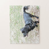 スモーキーとお散歩パズル ジグソーパズル (縦)