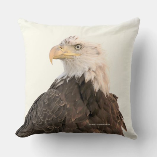 スモーキーな空に暗くなるハゲのワシ クッション (正面)