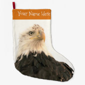 スモーキーな空に暗くなるハゲのワシ ラージクリスマスストッキング (正面)