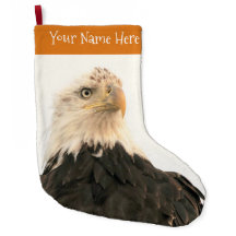 スモーキーな空に暗くなるハゲのワシ