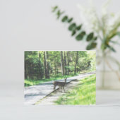 スモーキーの野生#72 ポストカード (スタンド正面)