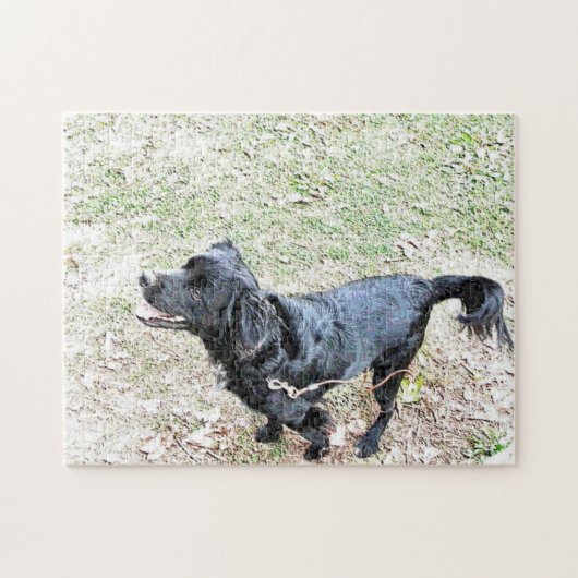 スモーキーは散歩パズルを待つ ジグソーパズル (横)