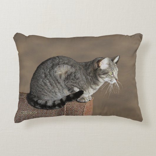 スモーキーグレイのタビー猫 アクセントクッション (正面)