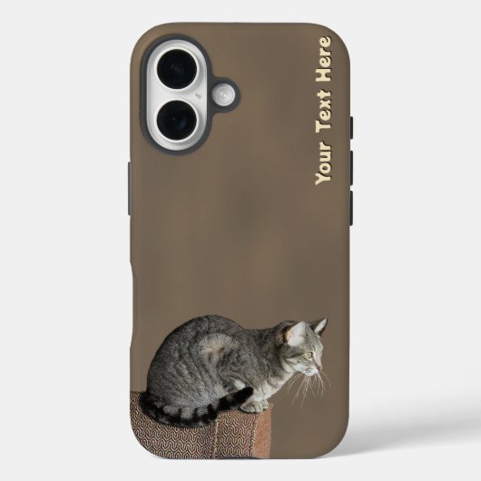 スモーキーグレイのタビー猫 Case-Mate iPhoneケース (裏面)