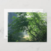 スモーキーパストレイルズ森林 ポストカード (正面/裏面)