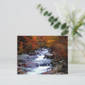 スモーキー国立公園 ポストカード (スタンド正面)