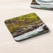 スモーキー山脈の素晴らし森の流れ コースター (左側)