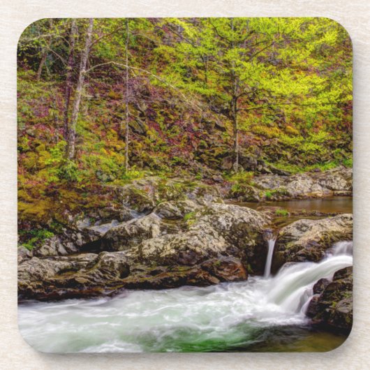 スモーキー山脈の素晴らし森の流れ コースター (正面)