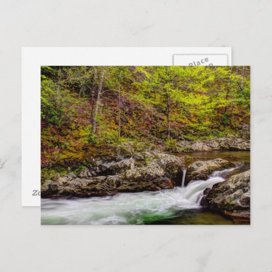 スモーキー山脈の素晴らし森の流れ ポストカード (正面/裏面)