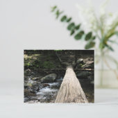 スモーキー山脈 ポストカード (スタンド正面)