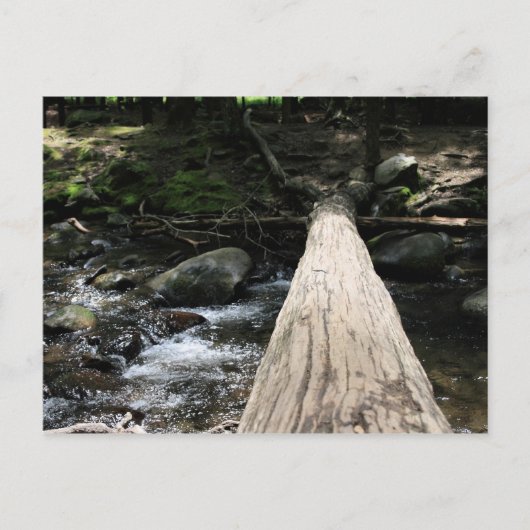 スモーキー山脈 ポストカード (正面)