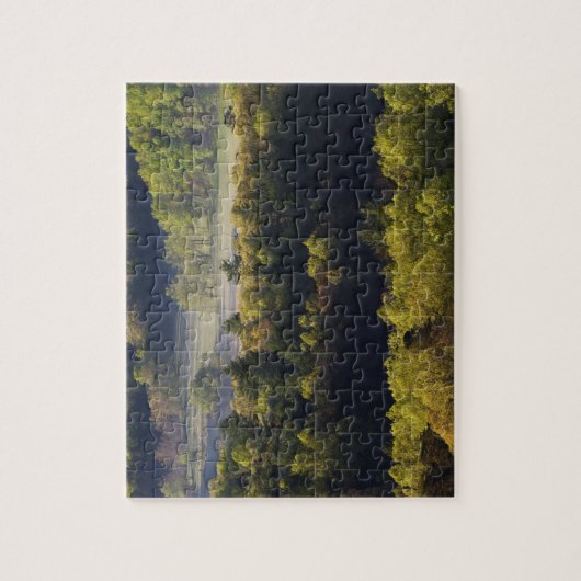 スモーキー州ケードズ·コーブの森の空素晴らし中観 ジグソーパズル (縦)