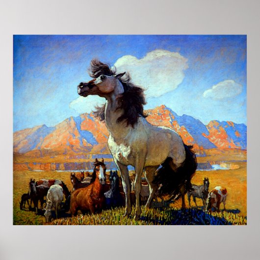 スモーキー顔N C Wyeth Circa 1917 ポスター (正面)