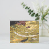 スモーキー食べ物を与えマウンテンクリークの水中マス ポストカード (スタンド正面)