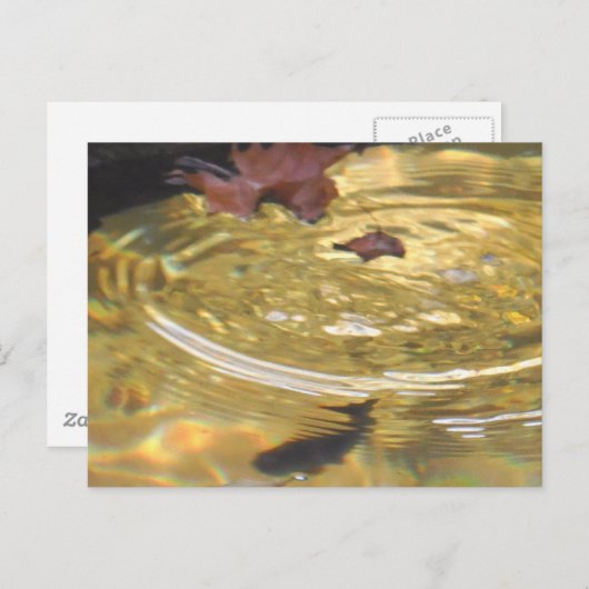 スモーキー食べ物を与えマウンテンクリークの水中マス ポストカード (正面/裏面)