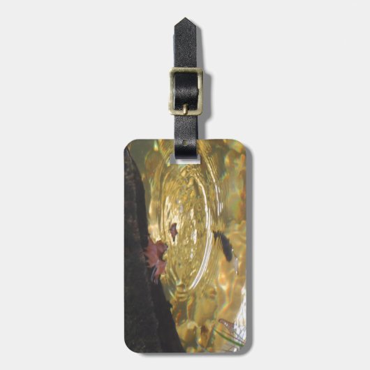 スモーキー食べ物を与えマウンテンクリークの水中マス ラゲッジタグ (正面縦)