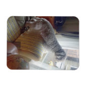 スモーキー マグネット (横)